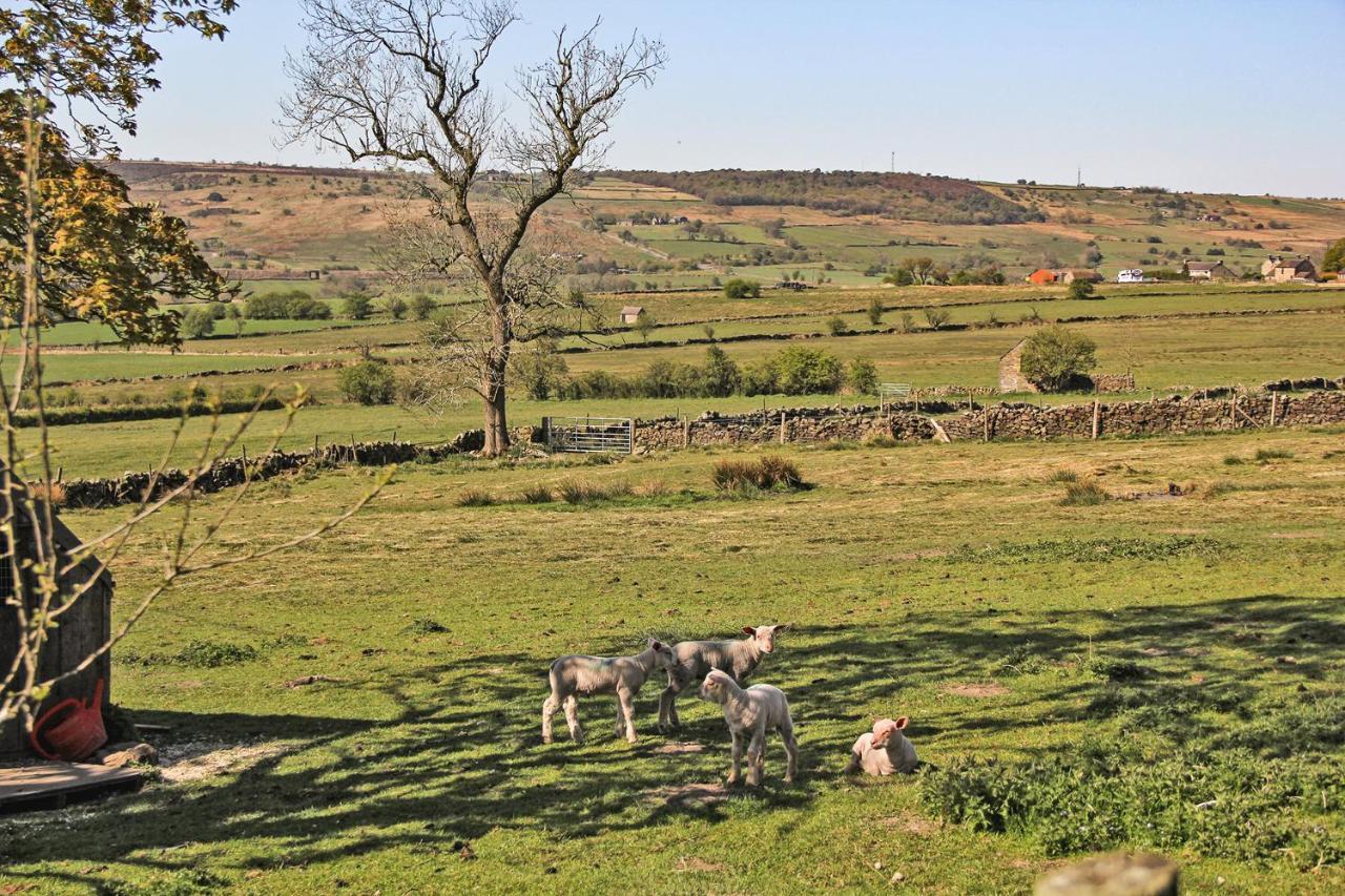 Moorland View Farm B&B Oakamoor Exterior photo